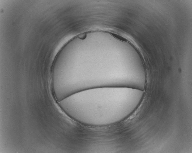 X0000070421048200606231848