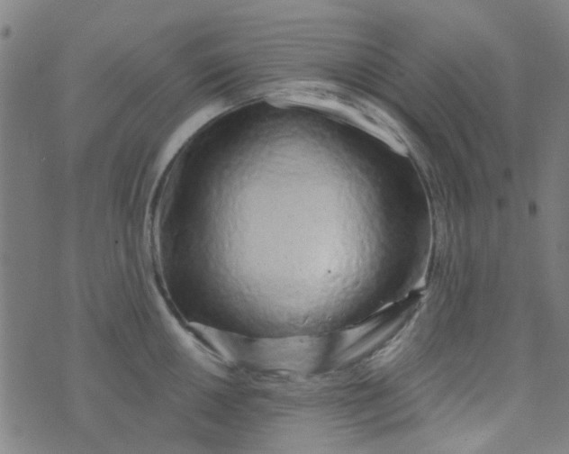 X0000070421050200606231848