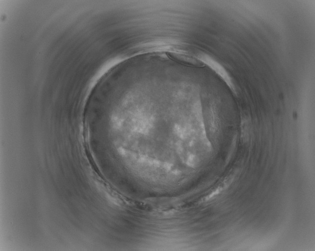 X0000070421051200606231848