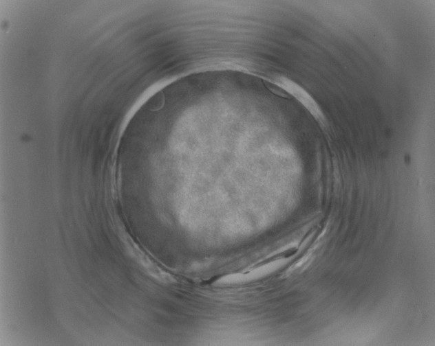 X0000070421052200606231848