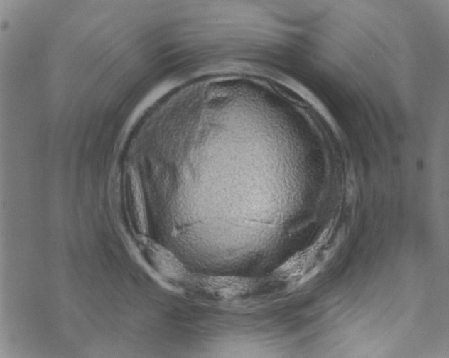 X0000070421053200606231848