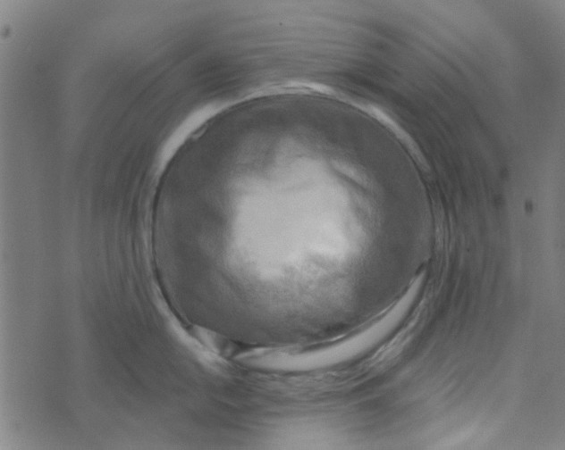 X0000070421054200606231848