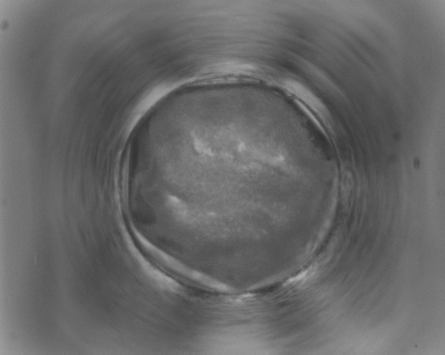 X0000070421055200606231848