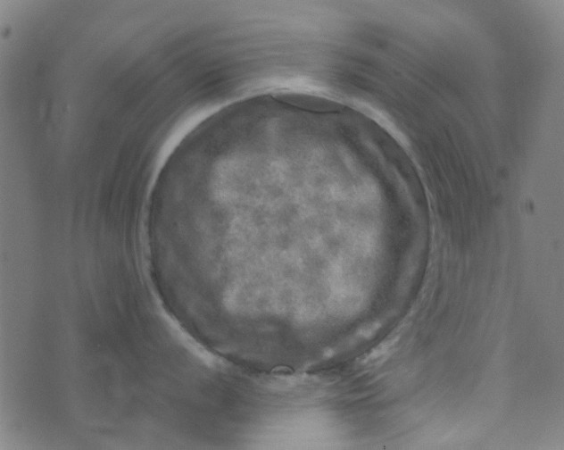 X0000070421056200606231848