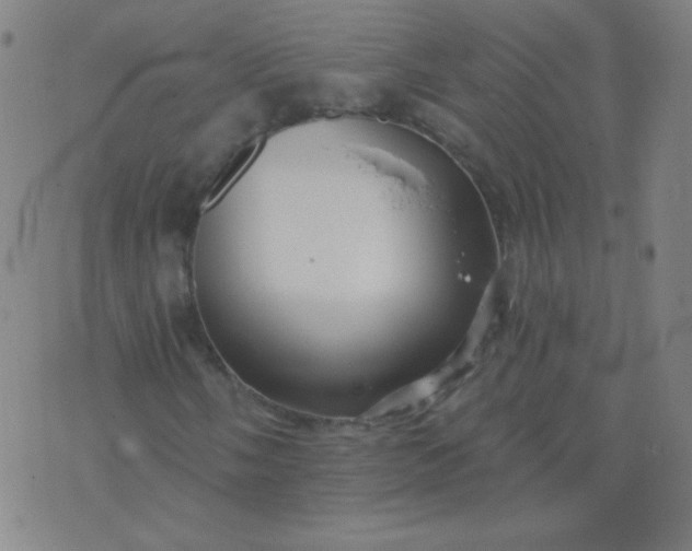 X0000070421058200606231847