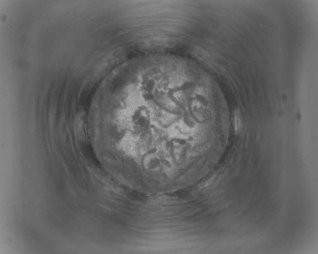 X0000070421059200606231847