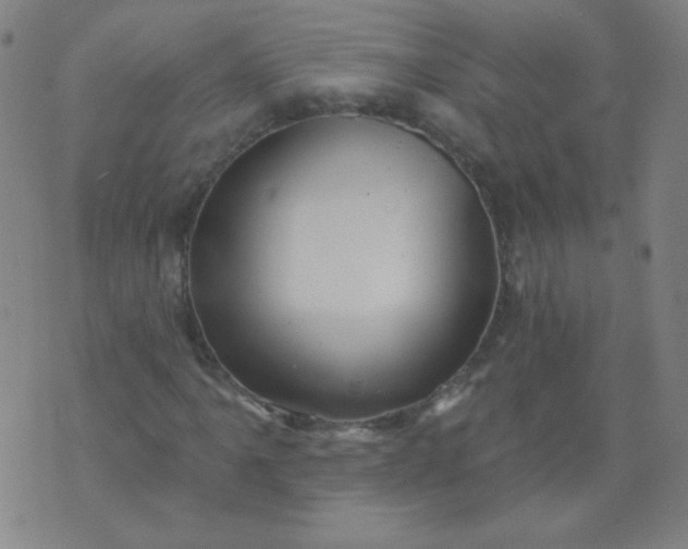 X0000070421061200606231847