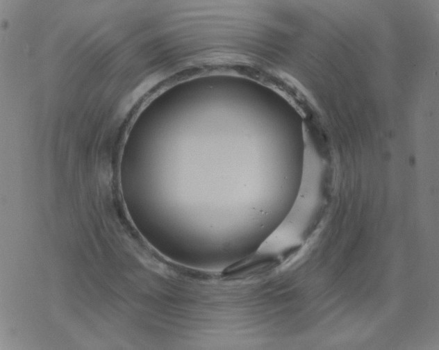 X0000070421065200606231847