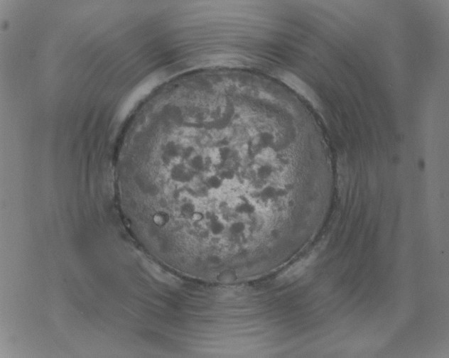 X0000070421067200606231847