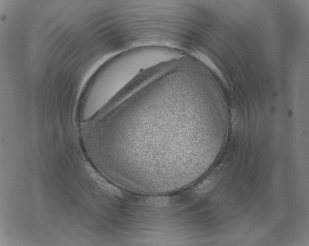 X0000070421068200606231847