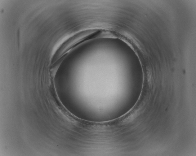 X0000070421069200606231847