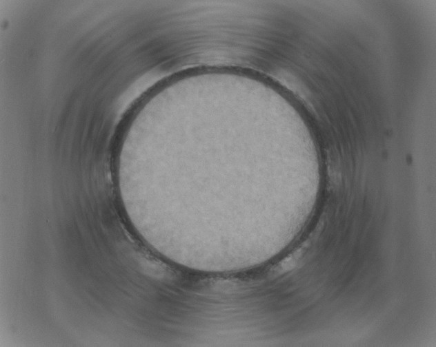 X0000070421070200606231847