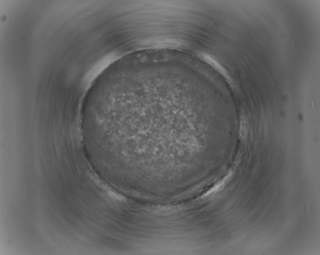 X0000070421071200606231847