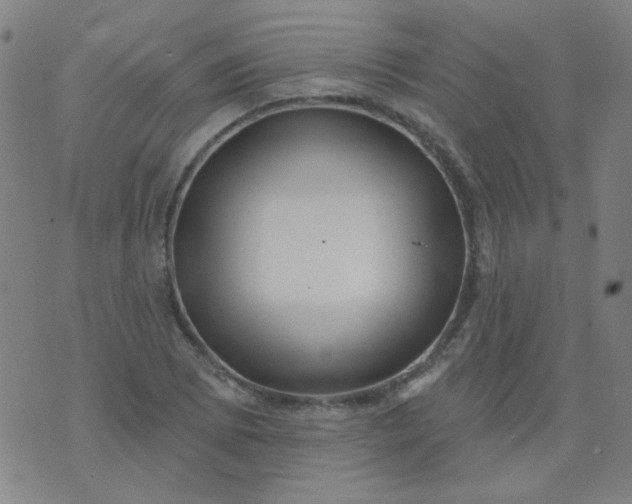 X0000070421073200606231847