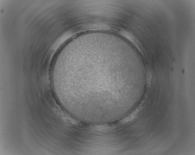 X0000070421074200606231847