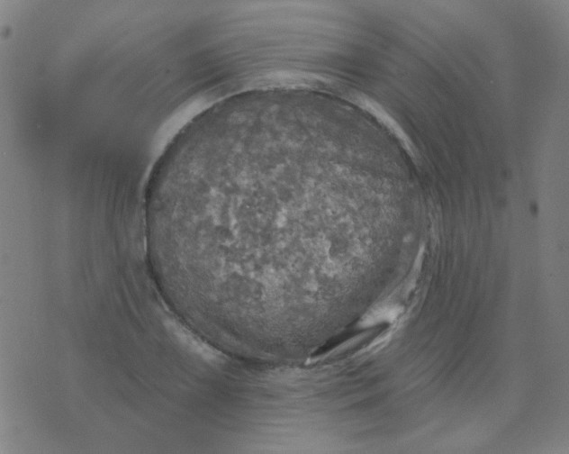 X0000070421075200606231847