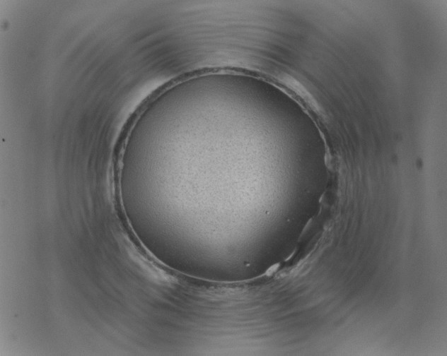 X0000070421076200606231847