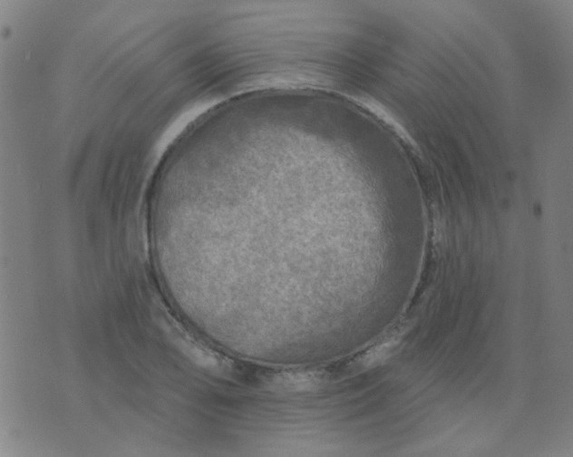 X0000070421078200606231847