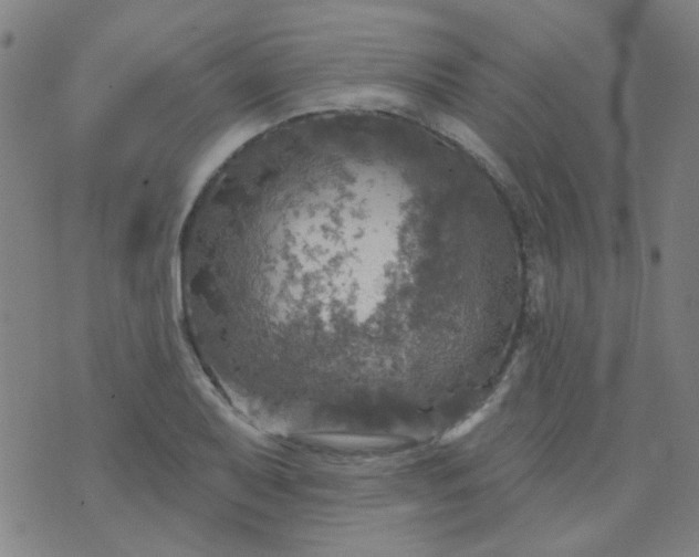 X0000070421079200606231847