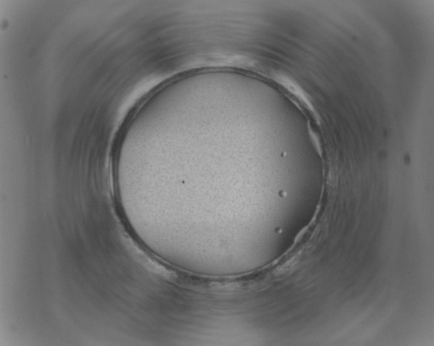 X0000070421080200606231847