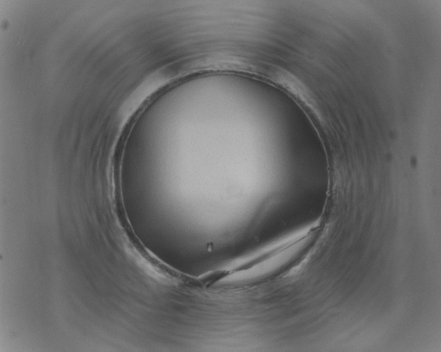 X0000070421082200606231847