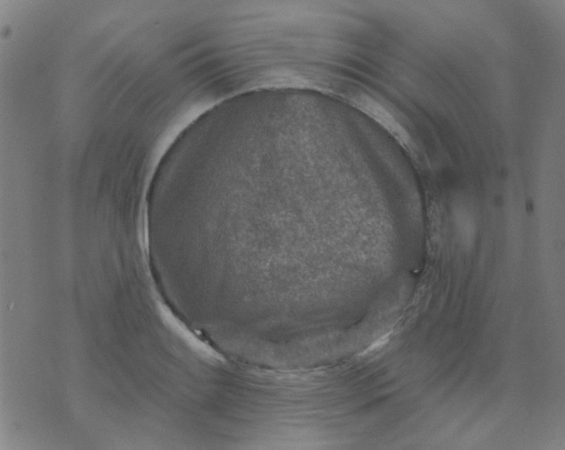 X0000070421084200606231847