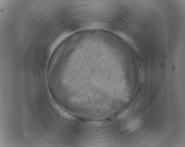 X0000070421086200606231847