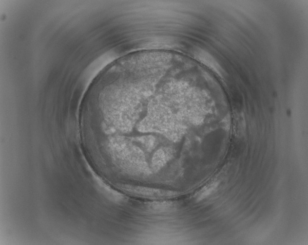 X0000070421087200606231847