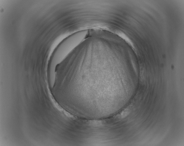 X0000070421088200606231847