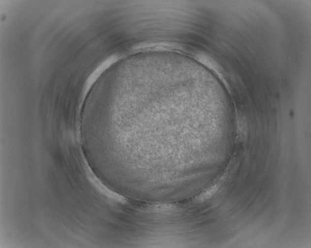 X0000070421090200606231847