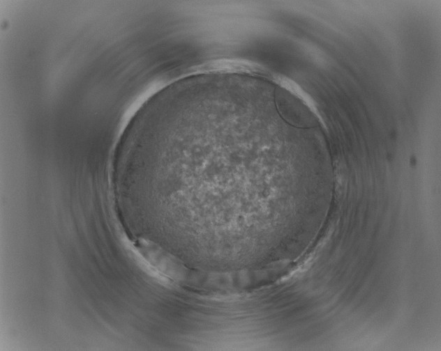 X0000070421091200606231847