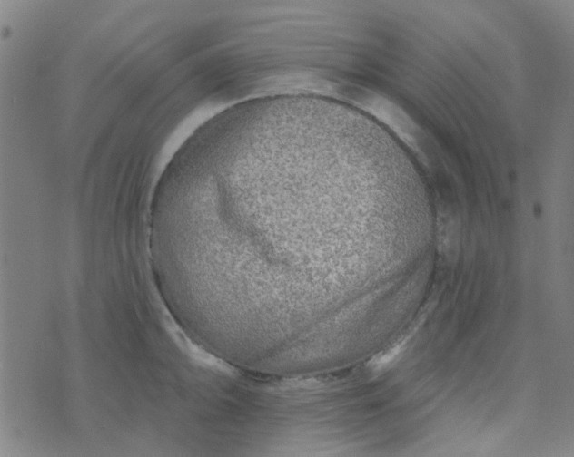 X0000070421094200606231847