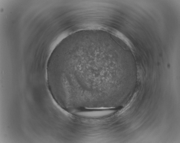 X0000070421095200606231847