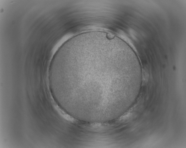 X0000070421098200606231847