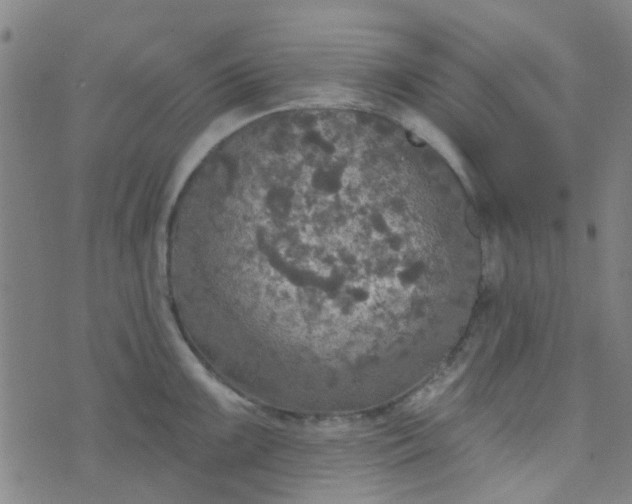 X0000070421099200606231847