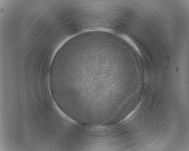 X0000070421100200606231847