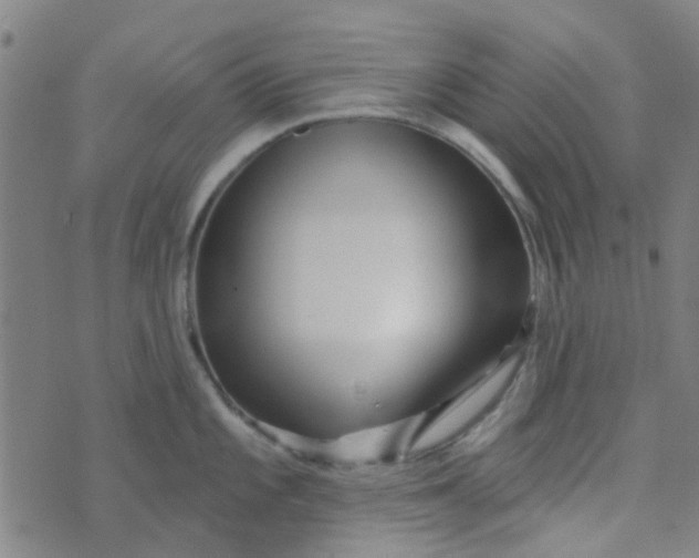 X0000070421101200606231847