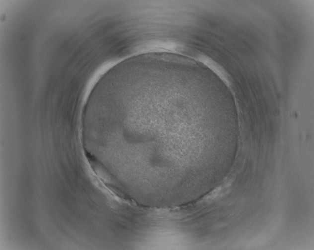 X0000070421104200606231847