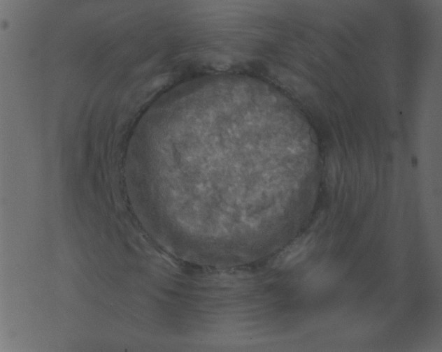 X0000070421105200606231846