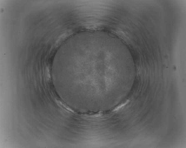 X0000070421106200606231846