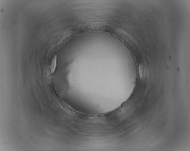 X0000070421107200606231846