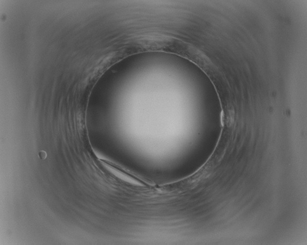 X0000070421108200606231846