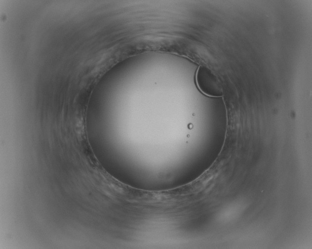 X0000070421109200606231846