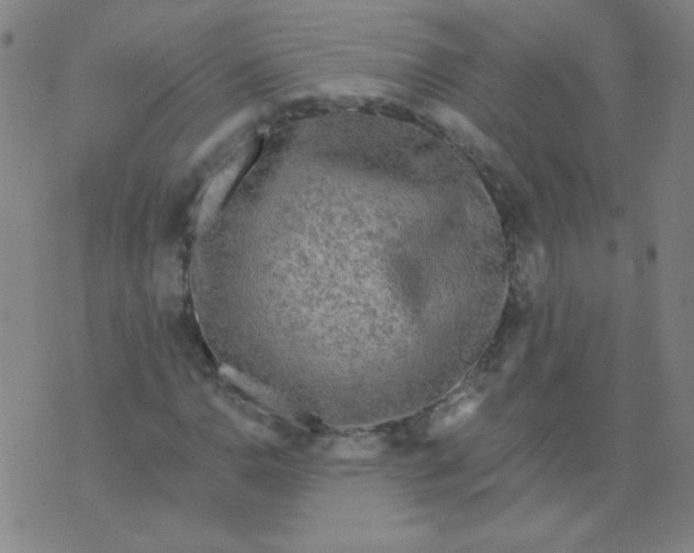 X0000070421110200606231846