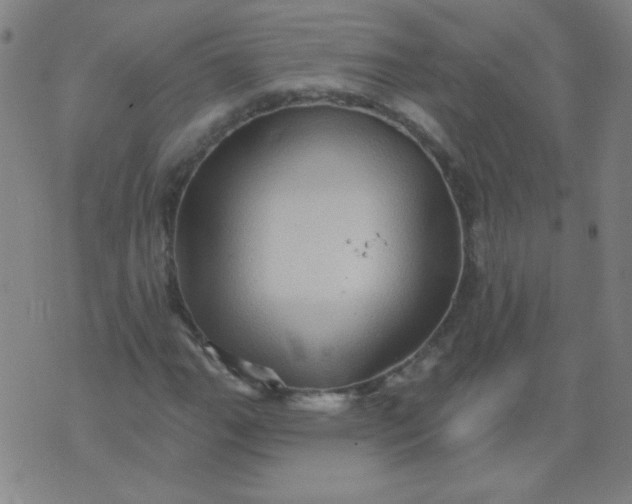 X0000070421111200606231846