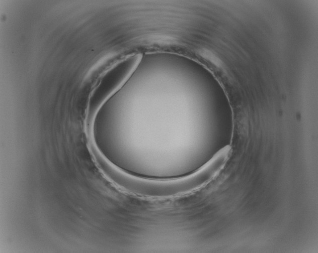 X0000070421112200606231846