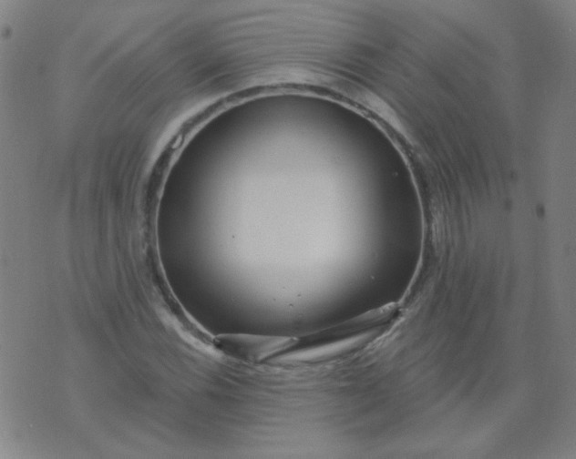 X0000070421116200606231846