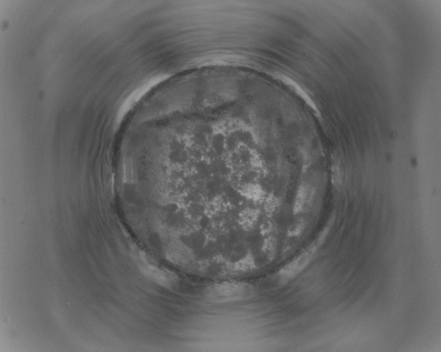 X0000070421117200606231846