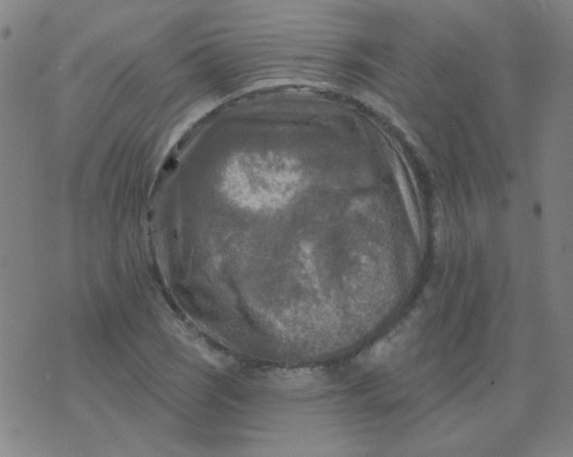 X0000070421121200606231846