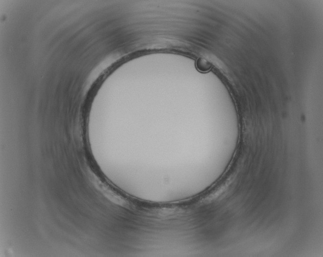 X0000070421122200606231846